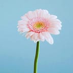 eft простукивание