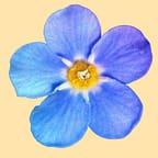 простукивание травмы